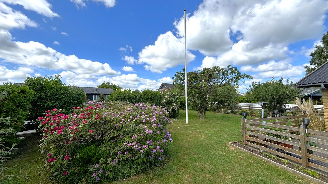 image 02